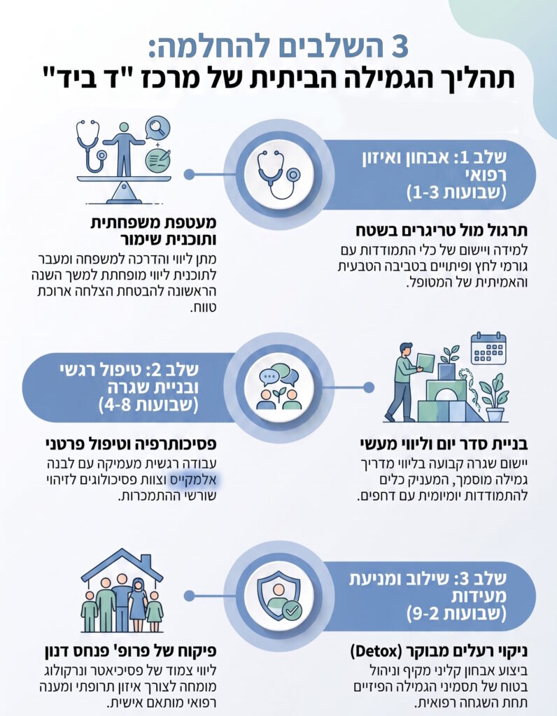 אינפוגרפיקה של שלבי גמילה
